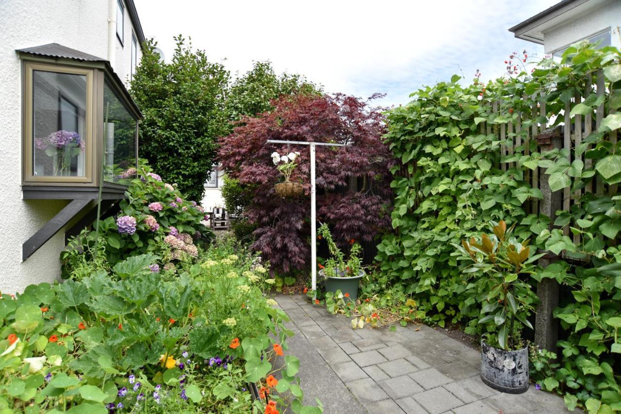Salisbury Apartment - Christchurch Holiday Homes Eksteriør bilde